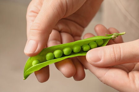 Young woman shelling fresh green peas, closeupの写真素材