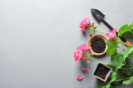 Flat lay composition with gardening tools and plant on gray backgroundの写真素材