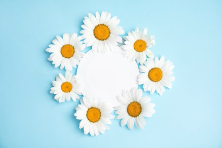 Beautiful floral composition with chamomile flowers and card on color background, top viewの写真素材