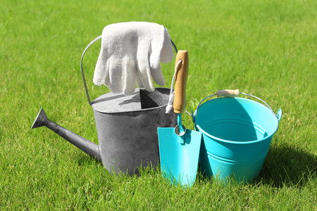 Set of gardening tools on green grassの写真素材