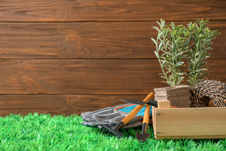 Plant and gardening tools on artificial grassの写真素材