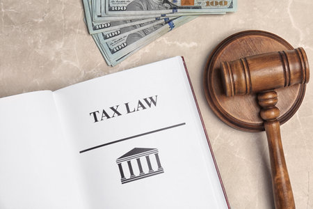 Money, gavel and book with words TAX LAW on gray background, top viewの写真素材