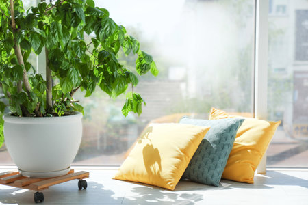 Different pillows near window in room