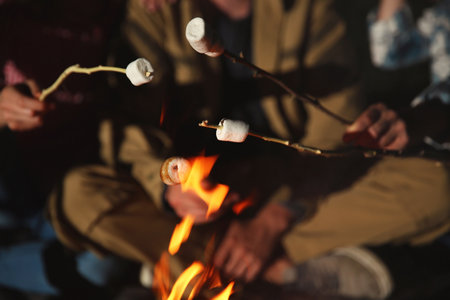 Friends frying marshmallows on bonfire at night, closeup. camping seasonの写真素材