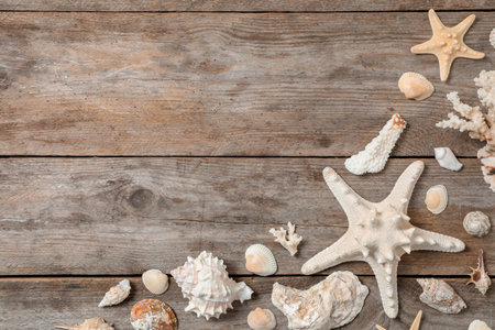 Flat lay composition with seashells on wooden background. beach objects