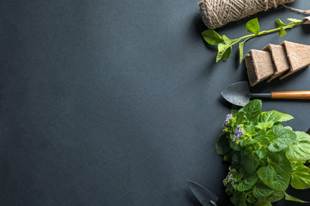 Flat lay composition with gardening tools and plants on black backgroundの写真素材