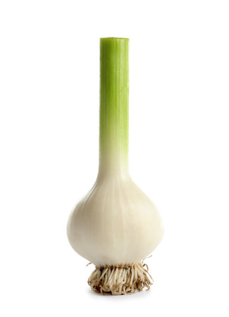 Fresh ripe garlic bulb on white backgroundの写真素材