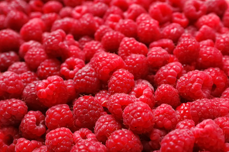 Ripe aromatic raspberries as backgroundの写真素材