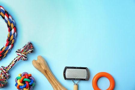 Flat lay composition with accessories for dog on color background. pet careの写真素材