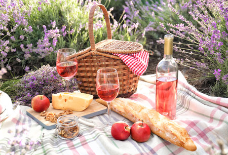 Set for picnic on blanket in lavender fieldの写真素材