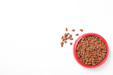 Bowl of dry pet food on white background, top viewの写真素材