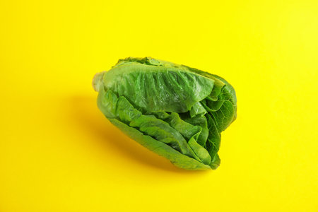 Fresh ripe cos lettuce on color backgroundの写真素材
