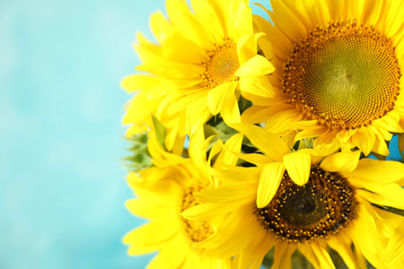 Bouquet of beautiful yellow sunflowers on color backgroundの写真素材