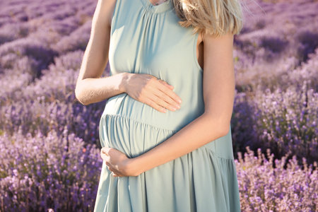 Pregnant woman in lavender field on summer dayの写真素材