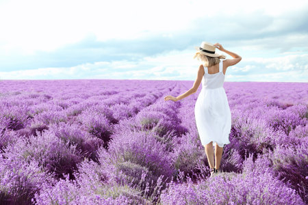 Young woman in lavender field on summer dayの写真素材