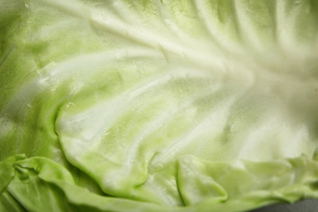 Fresh ripe cabbage leaf as background, closeupの写真素材