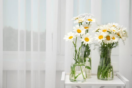 Vases with beautiful chamomile flowers on tableの写真素材