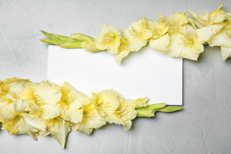 Beautiful gladiolus flowers with blank card on gray background, top viewの写真素材