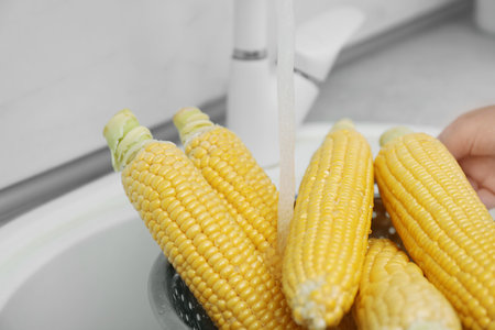 Washing corn ears in kitchen sink, closeupの写真素材