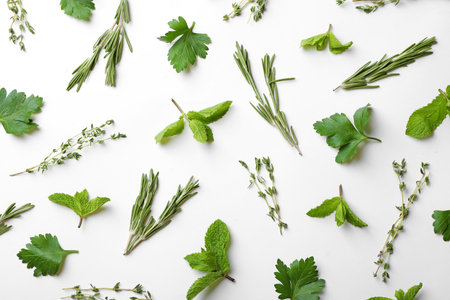 Different fresh herbs on white background, top viewの写真素材