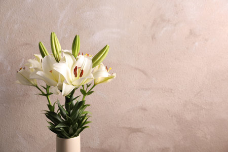 Beautiful blooming lily flowers on color backgroundの写真素材