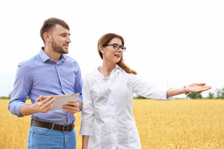 Young agronomists in grain field. Cereal farming