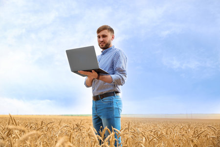 Young agronomist with laptop in grain field. Cereal farmingの写真素材