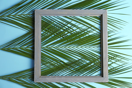 Square frame and tropical leaves on color background, top viewの写真素材