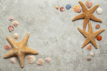 Flat lay composition with seashells on gray background. beach objectsの写真素材