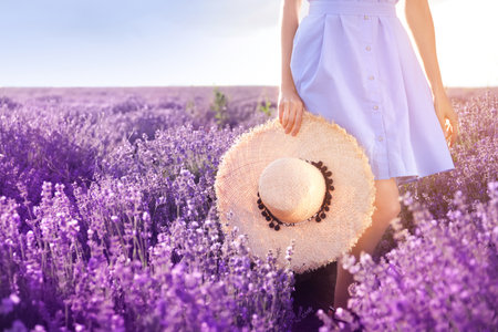 Young woman with hat in lavender field on summer day, closeupの写真素材