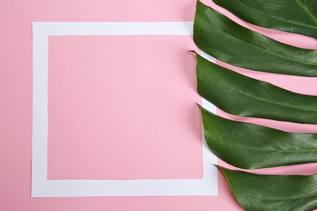 Flat lay composition with tropical leaves on color backgroundの写真素材