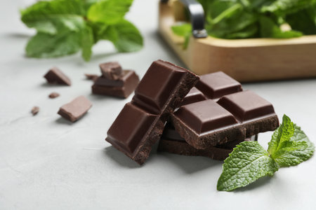 Pieces of dark chocolate with mint on gray tableの写真素材