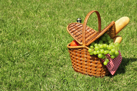 Basket with food on lawn in park. summer picnicの写真素材