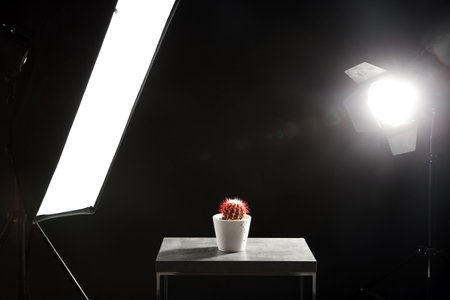 Interior of modern photo studio with table, cactus and professional lighting equipmentの写真素材