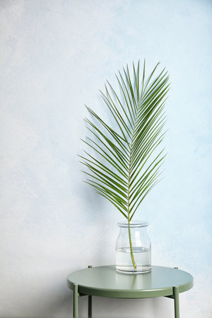 Vase with tropical date palm leaf on table near color wallの写真素材