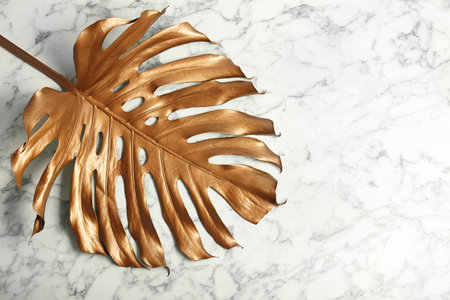 Painted tropical Monstera leaf and space for text on marble background, top viewの写真素材
