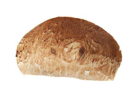 Slice of raw mushroom on white backgroundの写真素材