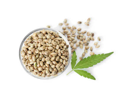 Bowl of hemp seeds with green leaf on white background, top viewの写真素材