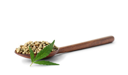 Spoon with hemp seeds and green leaf on white backgroundの写真素材