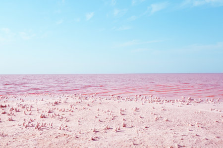 Beautiful view of pink lake on sunny dayの写真素材