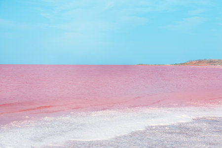 Beautiful view of pink lake on sunny dayの写真素材