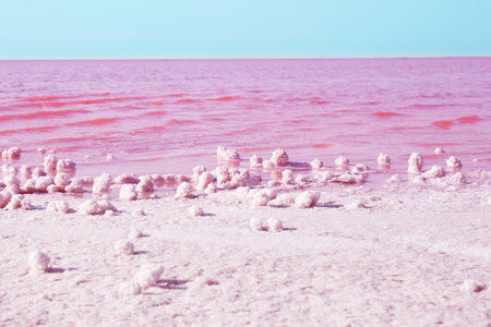 Beautiful view of pink lake on sunny dayの写真素材