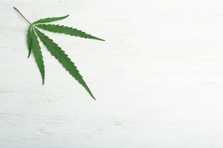 Hemp leaf and space for text on white wooden background, top viewの写真素材