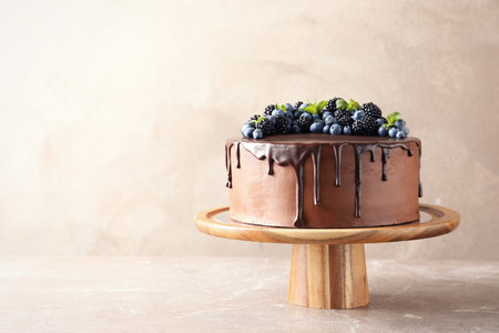 Fresh delicious homemade chocolate cake with berries on table against color background. Space for textの写真素材