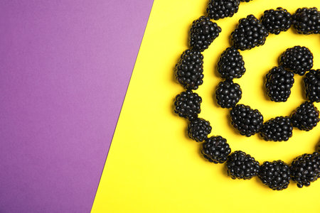 Flat lay composition with ripe blackberries on color backgroundの写真素材