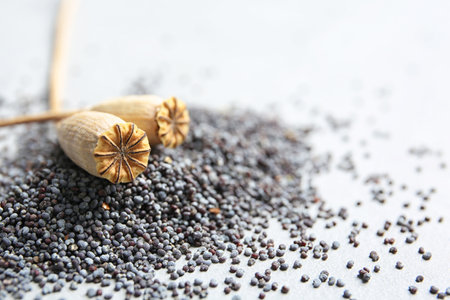 Dry poppy heads and seeds on gray background, closeupの写真素材