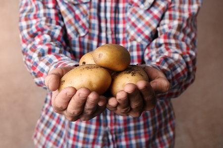 Person holding handful of fresh organic potatoes on color backgroundの写真素材