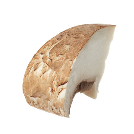 Slice of raw mushroom on white backgroundの写真素材