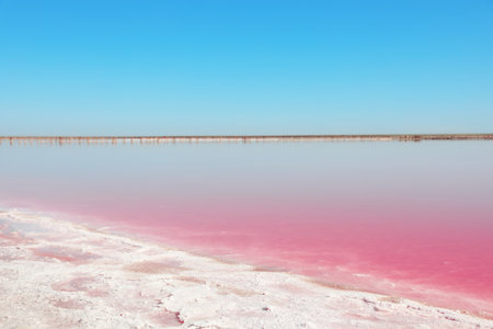 Beautiful view of pink lake on summer dayの写真素材