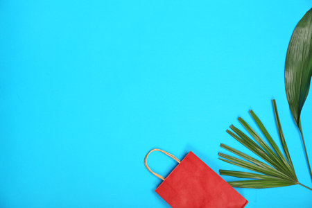 Stylish flat lay composition with shopping bag and tropical leaves on color backgroundの写真素材